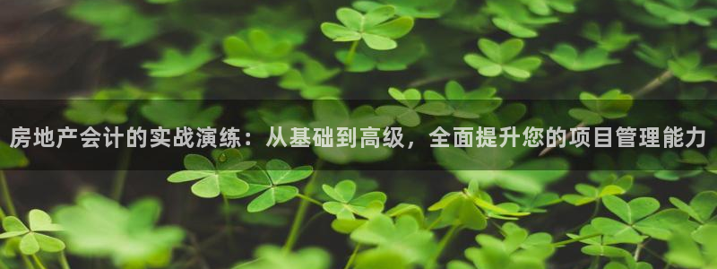 新宝5彩票平台登陆：房地产会计的实战演练：从基础到高级，全面