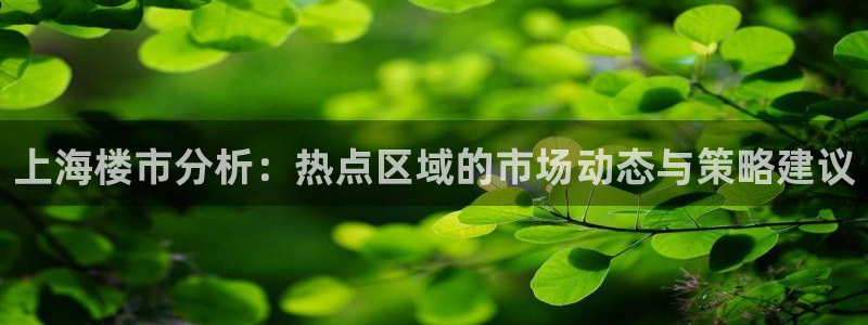 新宝5手机测速：上海楼市分析：热点区域的市场动态与策略建议