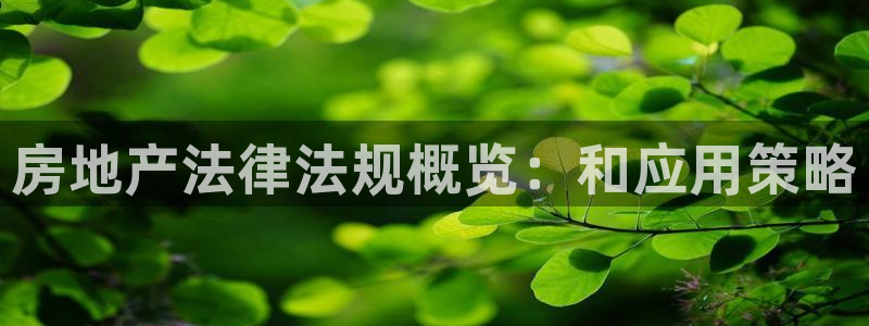 新宝5 - 测速登陆：房地产法律法规概览：和应用策略