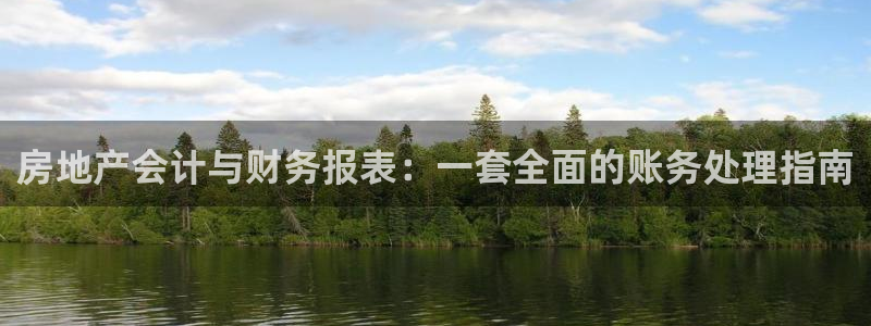 新宝5招商222111：房地产会计与财务报表：一套全面的账务