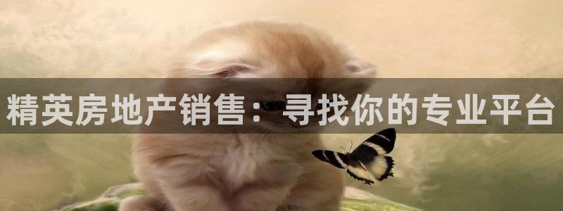 新宝5平台登录：精英房地产销售：寻找你的专业平台
