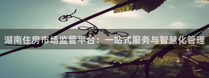 新宝5登录注册：湖南住房市场监管平台：一站式服务与智慧化管理