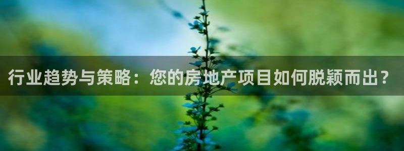 新宝5手机登陆