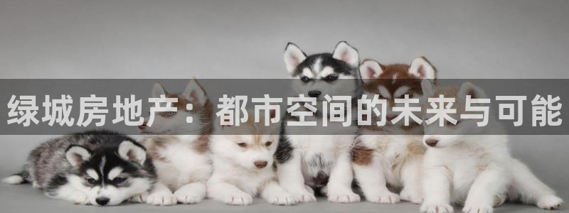 新宝5登陆：绿城房地产：都市空间的未来与可能