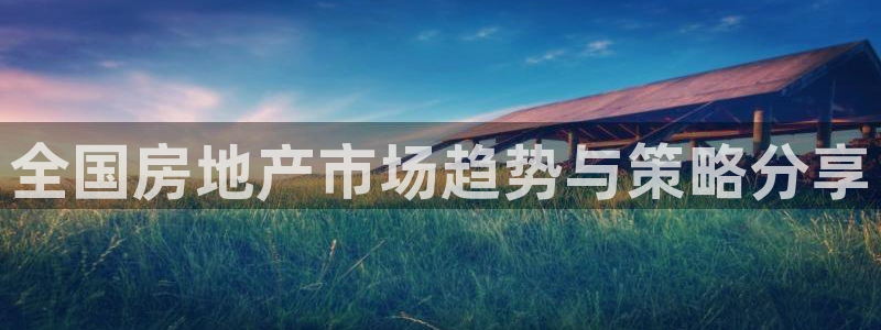 新宝5巅峰：全国房地产市场趋势与策略分享