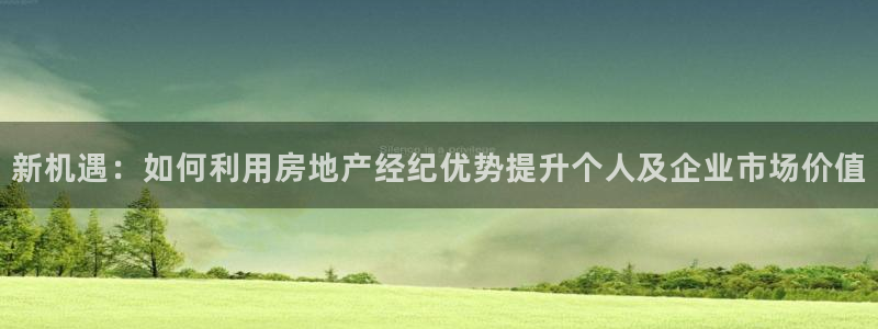 新宝5下载 迅雷下载：新机遇：如何利用房地产经纪优势提升个人