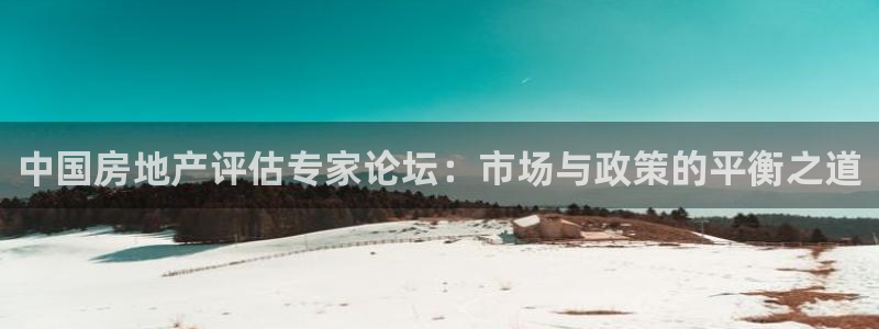 新宝5月：中国房地产评估专家论坛：市场与政策的平衡之道