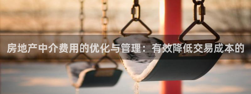 新宝5平台：房地产中介费用的优化与管理：有效降低交易成本的