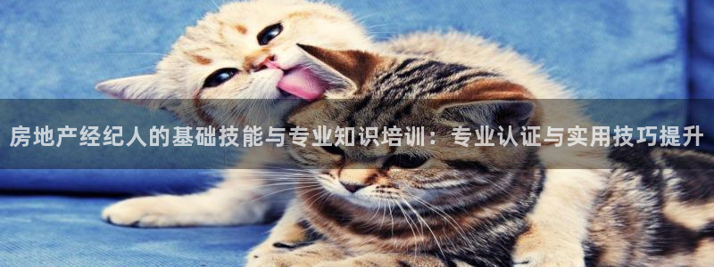 新宝5娱乐都：房地产经纪人的基础技能与专业知识培训：专业认证