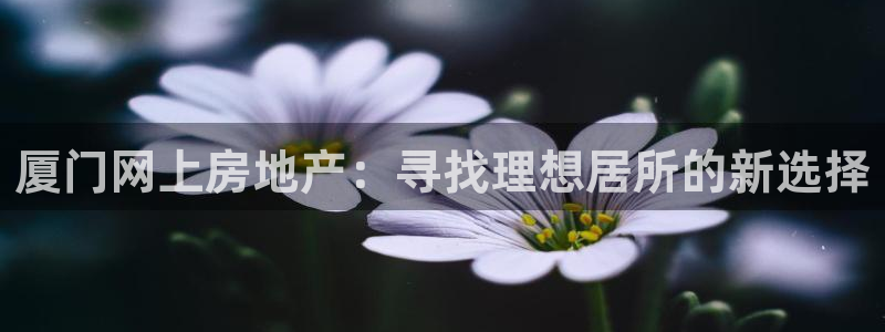 新宝5手机app：厦门网上房地产：寻找理想居所的新选择