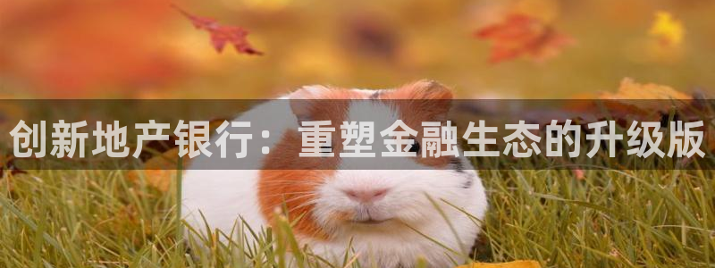 新宝那2O5O5O：创新地产银行：重塑金融生态的升级版