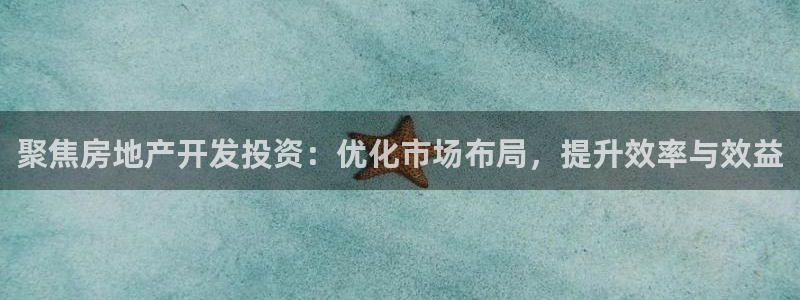 新宝5X：聚焦房地产开发投资：优化市场布局，提升效率与效益