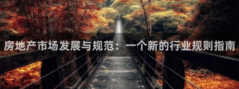 新宝5app：房地产市场发展与规范：一个新的行业规则指南
