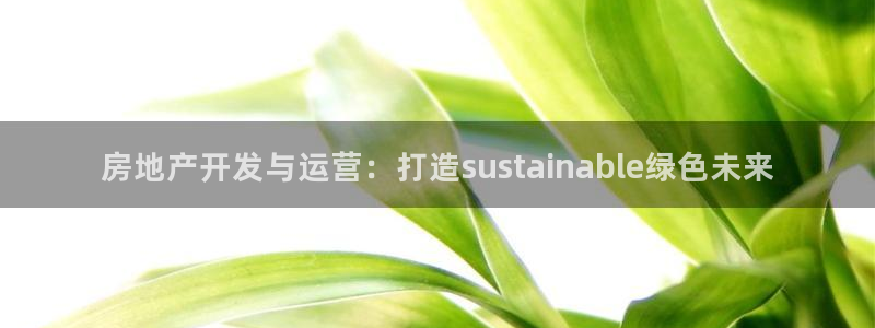 新宝5为啥开：房地产开发与运营：打造sustainable绿