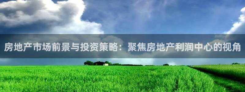 新宝5平台注册公司：房地产市场前景与投资策略：聚焦房地产利润
