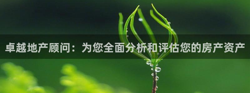新宝5黑：卓越地产顾问：为您全面分析和评估您的房产资产