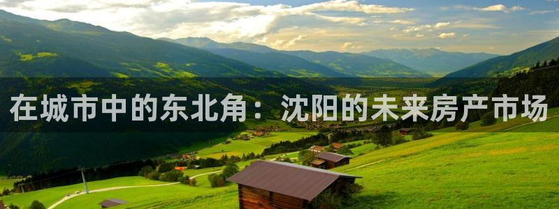 新宝5开好：在城市中的东北角：沈阳的未来房产市场