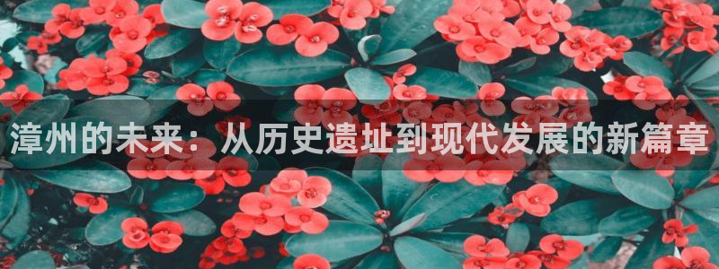 新宝5官网霸：漳州的未来：从历史遗址到现代发展的新篇章