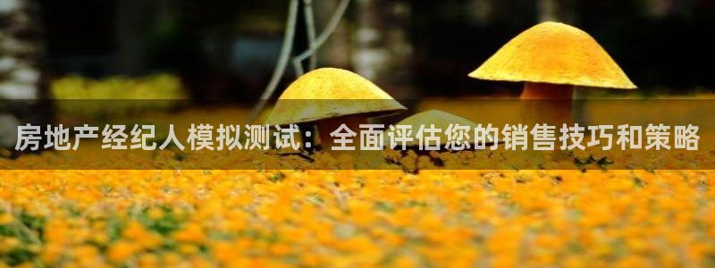 新宝5谠631257：房地产经纪人模拟测试：全面评估您的销售