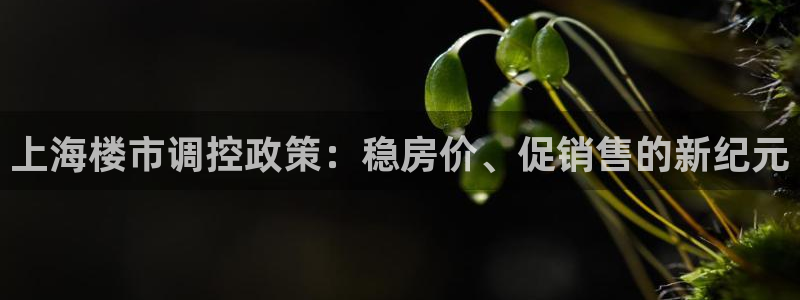 有人知道新宝5么：上海楼市调控政策：稳房价、促销售的新纪元