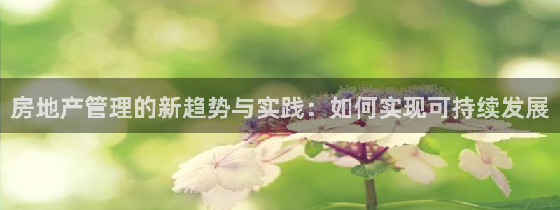 新宝5彩票平台登陆：房地产管理的新趋势与实践：如何实现可持续
