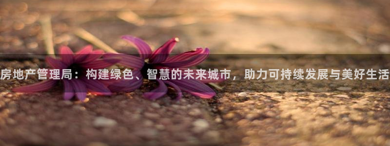 新宝5郑74OOO5：房地产管理局：构建绿色、智慧的未来城市