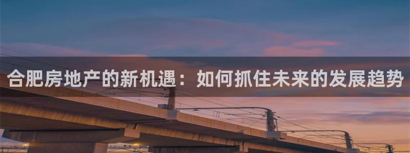 新宝5手机下载：合肥房地产的新机遇：如何抓住未来的发展趋势