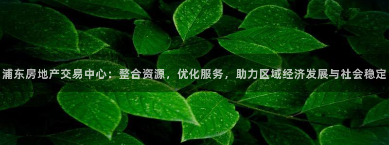 新宝5手机平台登陆：浦东房地产交易中心：整合资源，优化服务，
