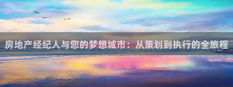 新宝股东王听2 5 5：房地产经纪人与您的梦想城市：从策划到
