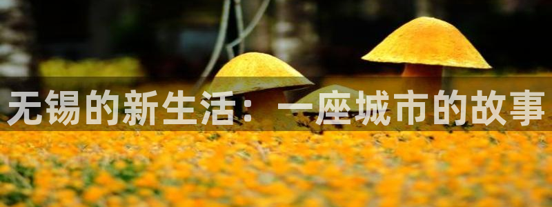 下载新宝5：无锡的新生活：一座城市的故事