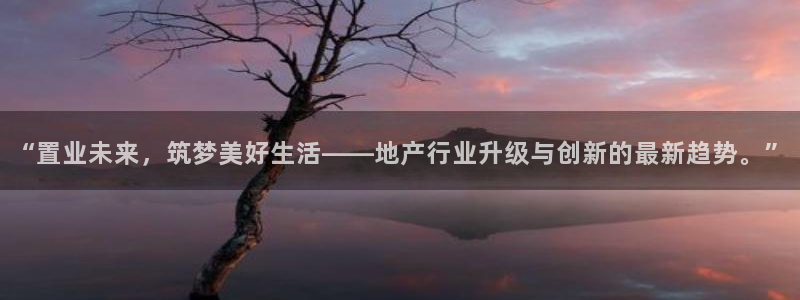 新宝5日：“置业未来，筑梦美好生活——地产行业升级与创新的最