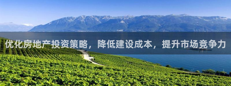 新宝5网站：优化房地产投资策略，降低建设成本，提升市场竞争力