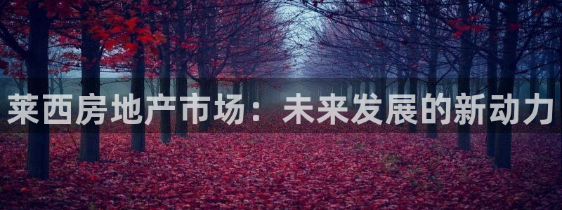 新宝5地址：莱西房地产市场：未来发展的新动力