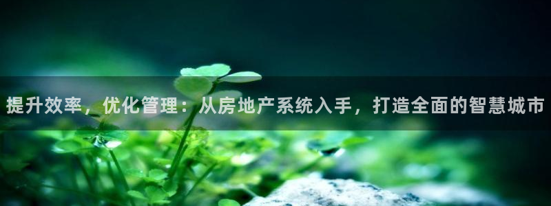 新宝5飞355051：提升效率，优化管理：从房地产系统入手，