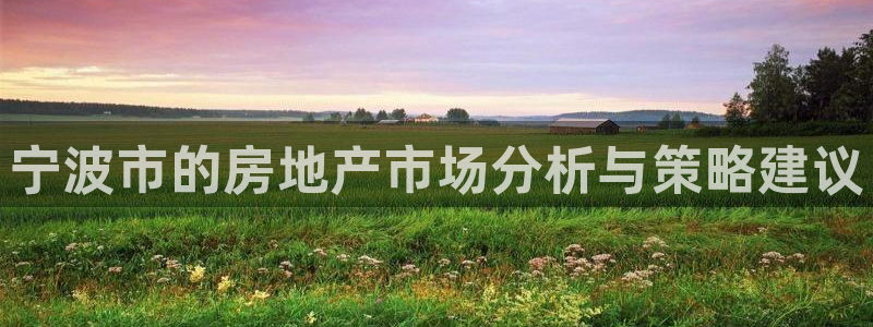 新宝5注册流程：宁波市的房地产市场分析与策略建议