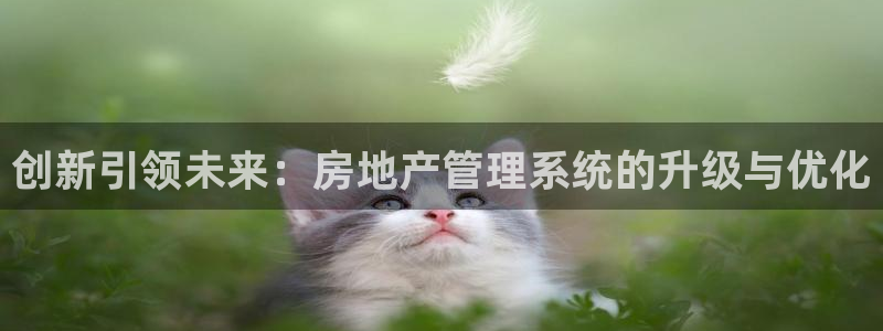 新宝5登陆：创新引领未来：房地产管理系统的升级与优化