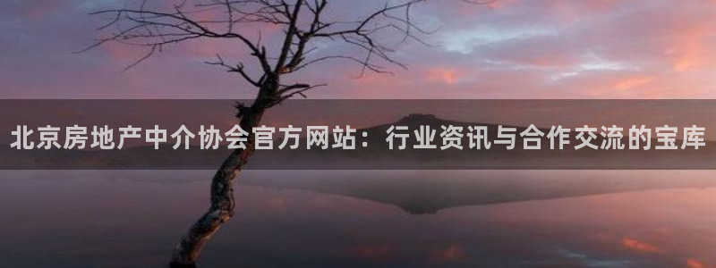 新宝5app：北京房地产中介协会官方网站：行业资讯与合作交流