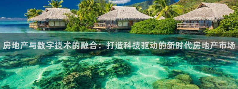 新宝5骗术：房地产与数字技术的融合：打造科技驱动的新时代房地