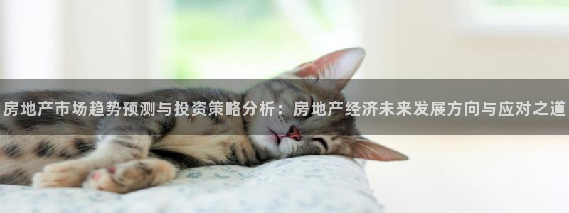 新宝5招商：房地产市场趋势预测与投资策略分析：房地产经济未来