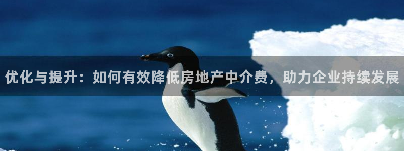新宝5网址：优化与提升：如何有效降低房地产中介费，助力企业持