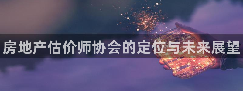 新宝5找找74OOO5：房地产估价师协会的定位与未来展望