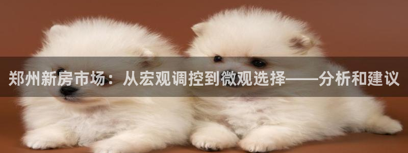 新宝股东张听2 5 5：郑州新房市场：从宏观调控到微观选择—