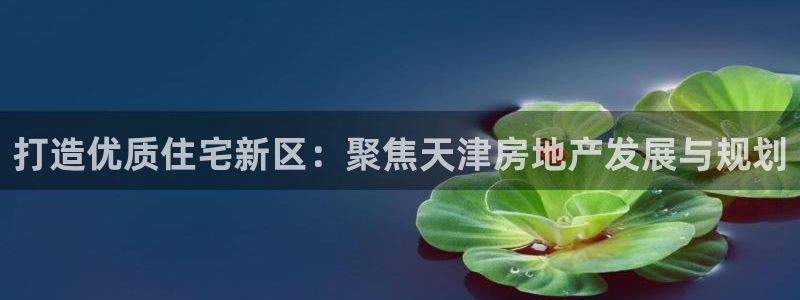 新宝5平棋牌：打造优质住宅新区：聚焦天津房地产发展与规划