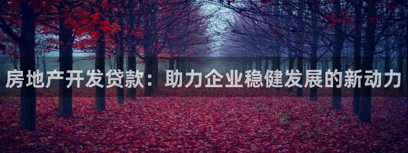 新宝rc_5w：房地产开发贷款：助力企业稳健发展的新动力