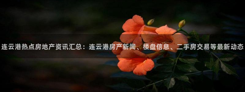 新宝5注册平台：连云港热点房地产资讯汇总：连云港房产新闻、楼