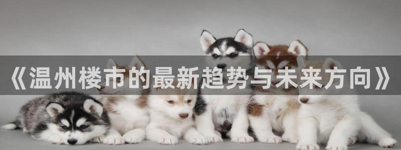 新宝5入口：《温州楼市的最新趋势与未来方向》