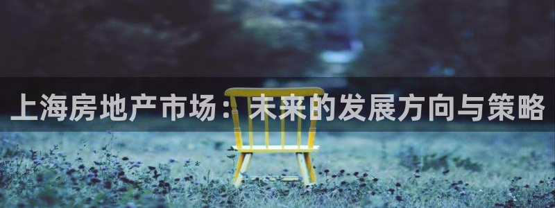 新宝5登录霸：上海房地产市场：未来的发展方向与策略