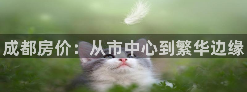新宝5登录：成都房价：从市中心到繁华边缘