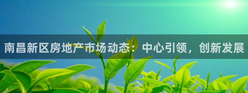 新宝5在哪里：南昌新区房地产市场动态：中心引领，创新发展