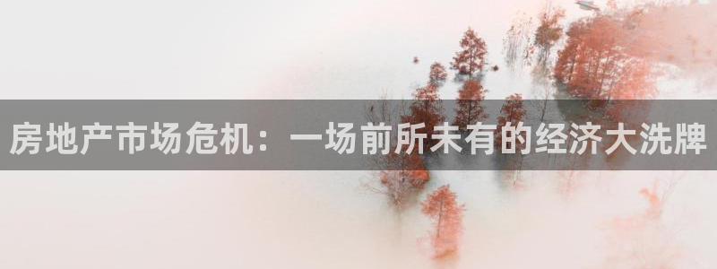 菲律宾新宝5老板：房地产市场危机：一场前所未有的经济大洗牌